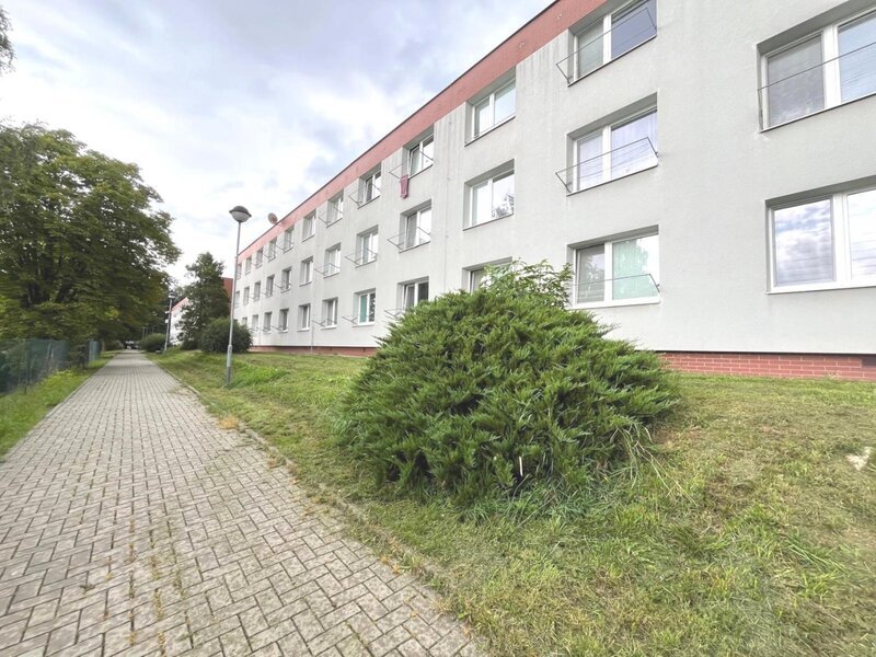 Pronájem 1+kk na ulici Javorová na Jižních Svazích.