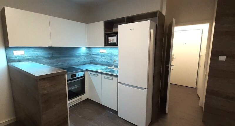 Pronájem bytu v novostavbě, 1+kk, 3.patro, kompletně zařízený