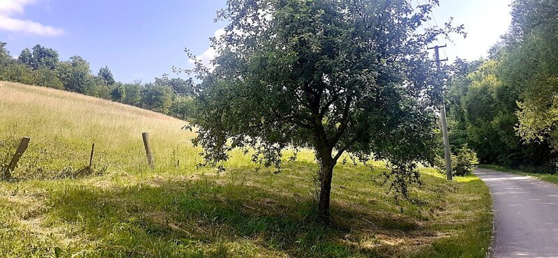 Prodej stavebního pozemku pro bydlení, Luhačovice