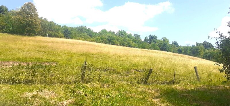 Prodej stavebního pozemku pro bydlení, Luhačovice