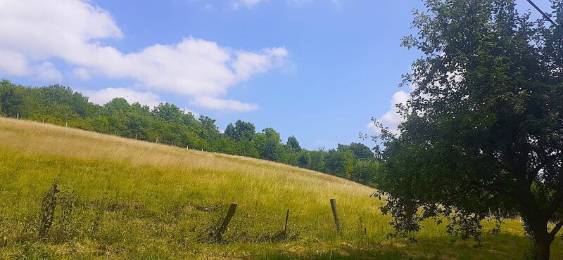 Prodej stavebního pozemku pro bydlení, Luhačovice