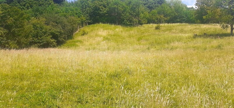 Prodej stavebního pozemku pro bydlení, Luhačovice