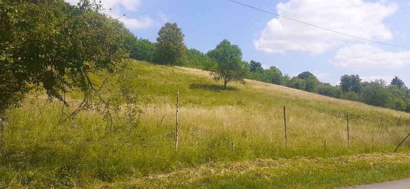 Prodej stavebního pozemku pro bydlení, Luhačovice