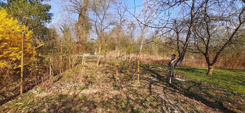 Prodej chatky v zahrádkářské kolonii, lokalita Přerov Kozlovice