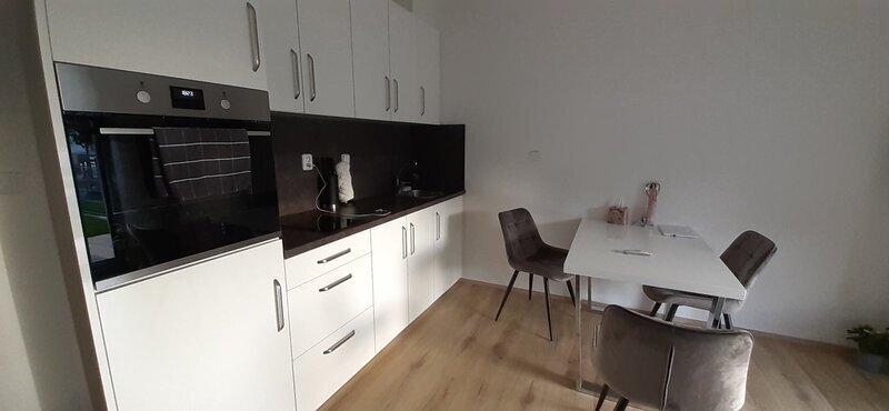 Pronájem 1+kk 28 m2, s terasou 7,30 m2 a předzahrádkou 16