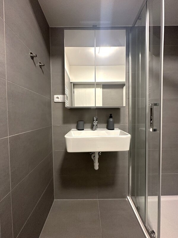 Pronájem krásného bytu 1+kk se zahrádkou a parkovacím stáním – Malenovice, Hřebíčkova