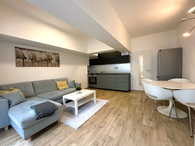 Pronájem krásného bytu 1+kk se zahrádkou a parkovacím stáním – Malenovice, Hřebíčkova