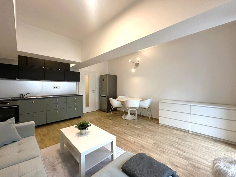 Pronájem krásného bytu 1+kk se zahrádkou a parkovacím stáním – Malenovice, Hřebíčkova