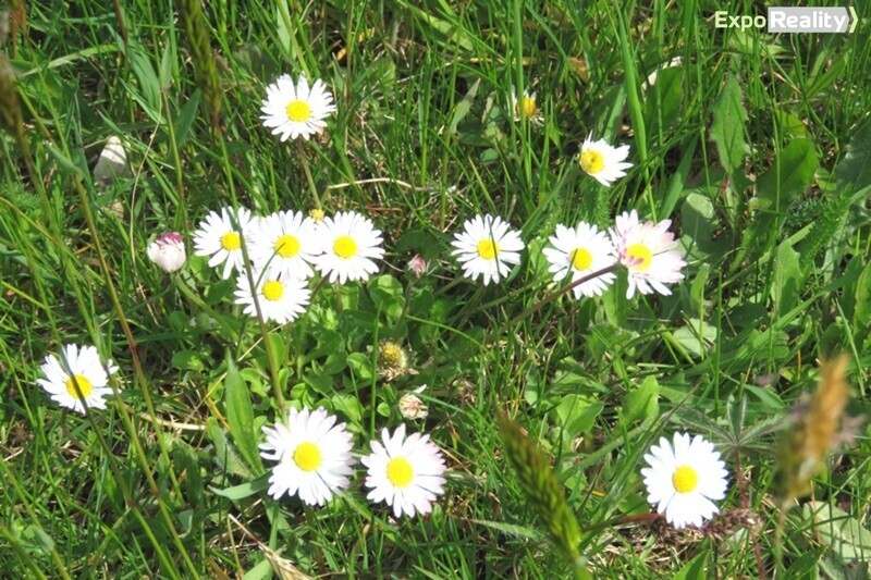 Pronájem částečně zařízeného bytu 2+kk s garážovým stáním – Zlín, Kúty