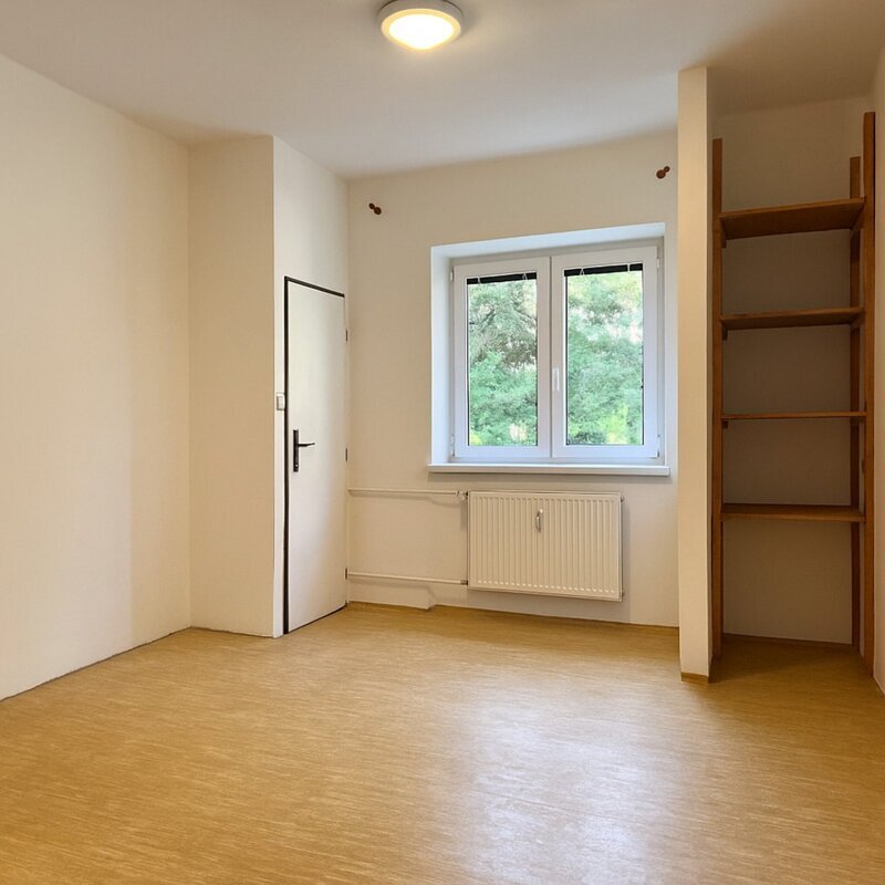 Prostorný byt 1+1 se zahrádkou, půdou a velkým sklepem – Hulín, centrum města