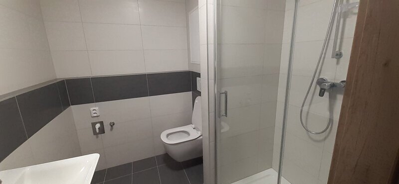 Pronájem částečně zařízené novostavby 1+kk 47 m2, s terasou, novostavba Rezidence Bartoška