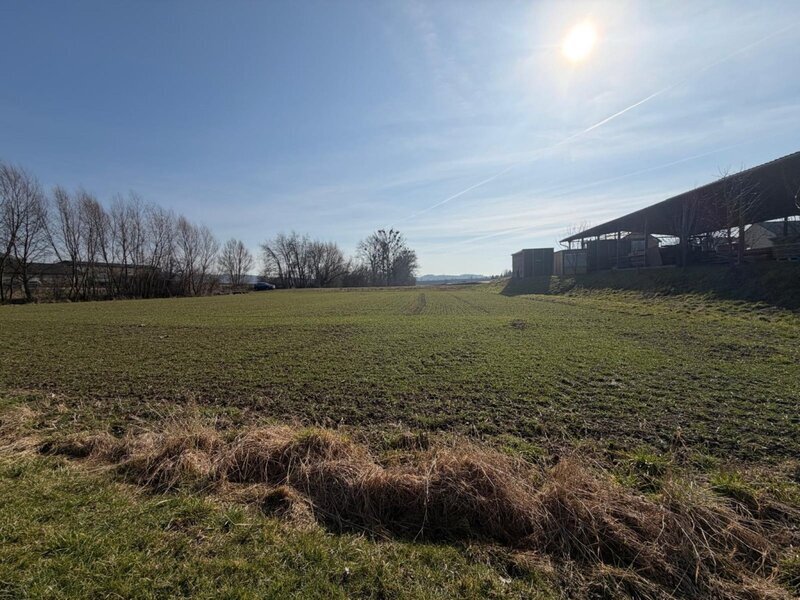 Prodej pozemku v Míškovicích pro komerční využití – výroba a skladování