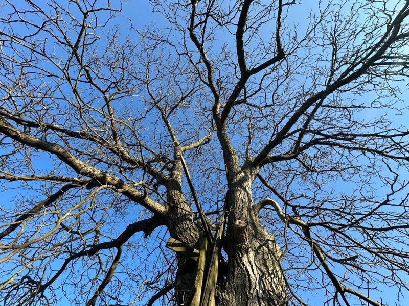 Prodej stavebního pozemku – v obci Roštění u Holešova