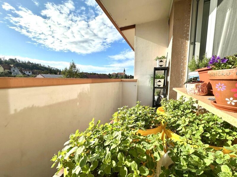 Pronájem prostorného bytu 2+1 s lodžií a sklepem, Napajedla